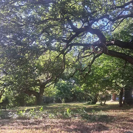 L Instant Present Chez Lo